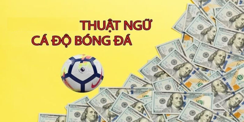 Thuật ngữ kèo Châu Âu